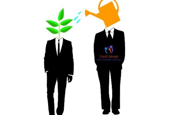 Credit Salvage Financial Mentor Credit Salvage Financial Mentor
